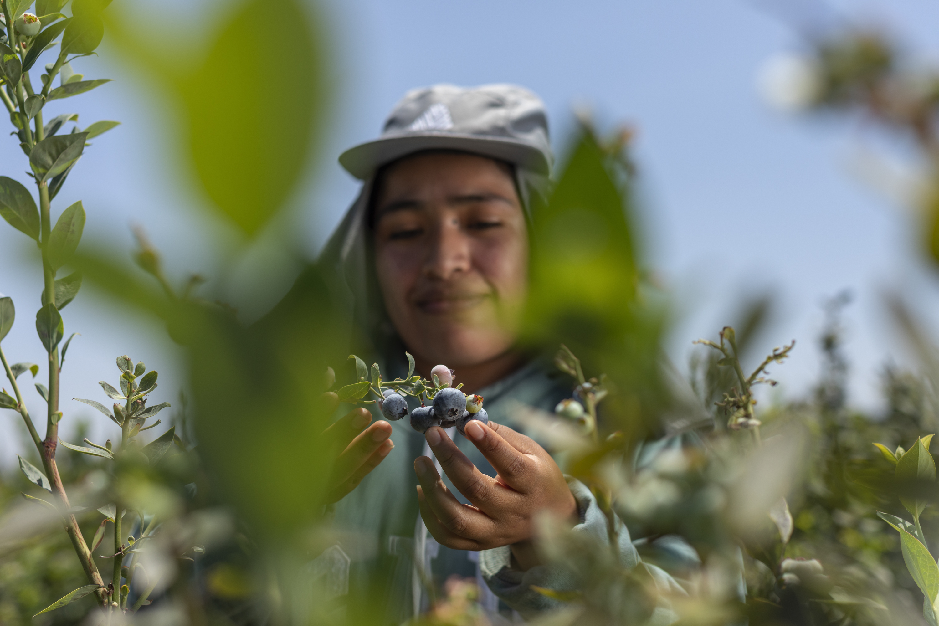 Portfólio Renato - Imagem 1
