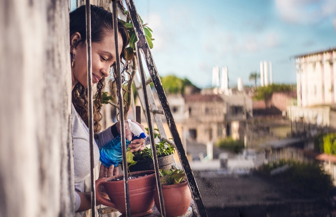 Portfólio Joyce - Imagem 4