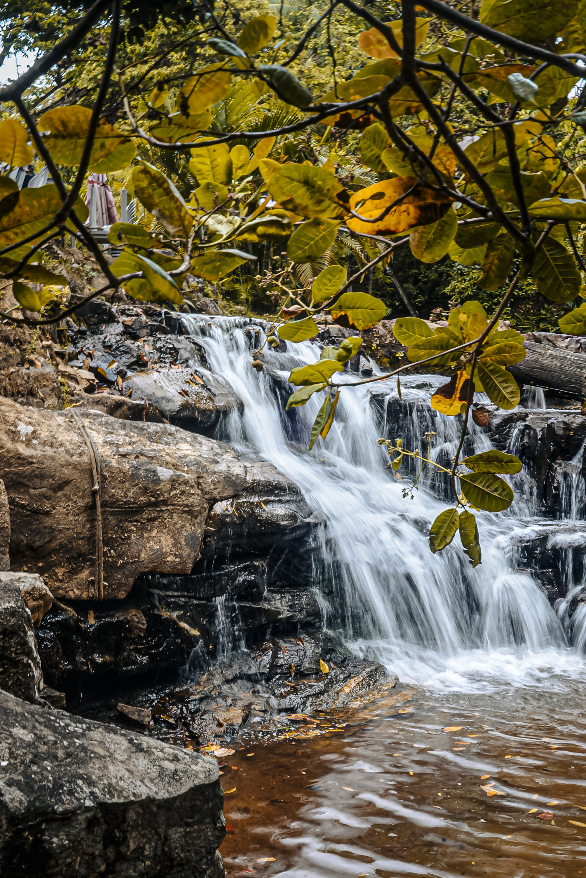 Portfólio Joyce - Imagem 5